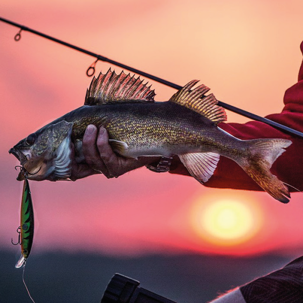 Průvodce světem woblerů RAPALA