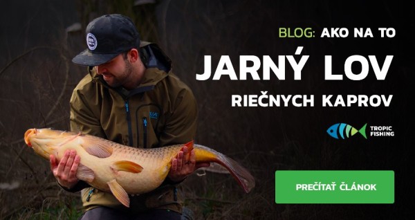 Jarní lov říčních kaprů