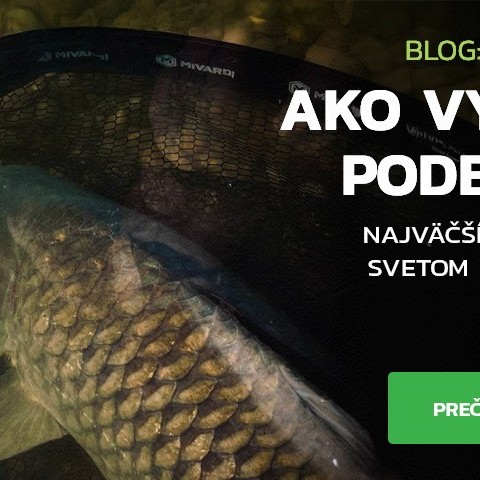 Ako vybrať správny podberák – sprievodca pre rybárov Ako vybrať správny podberák – sprievodca pre rybárov