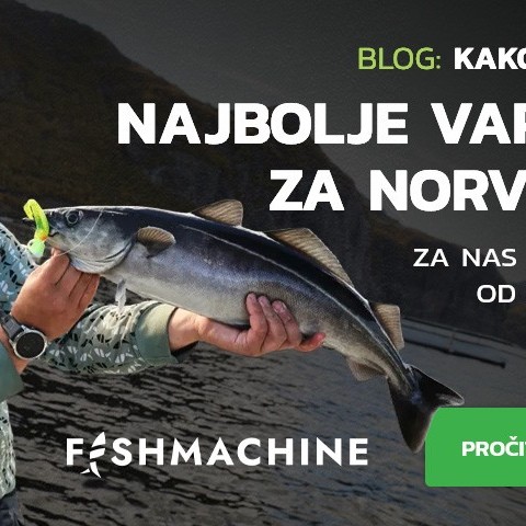 Lovite kao profesionalci: Zašto su Fishmachine varalice od Rybostroja najbolje što možete ponijeti u Norvešku?
