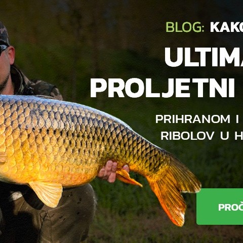 Proljetni restart šaranskog ribolova: Ultimativni vodič kroz prihranu i taktiku za lov u hladnoj vodi