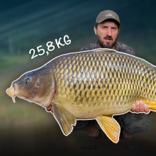 Ako vybrať prúty na kaprov Ako vybrať prúty na kaprov