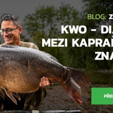 KWO - diamant mezi kaprařskými značkami KWO - diamant mezi kaprařskými značkami