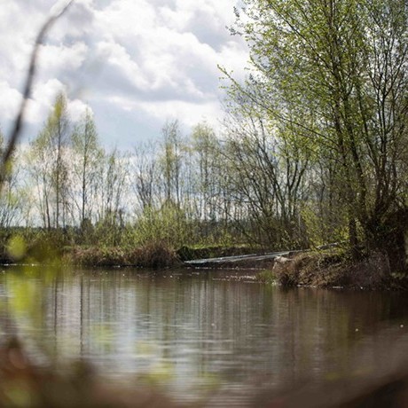 Jak chytit kapra na jaře Jak chytit kapra na jaře
