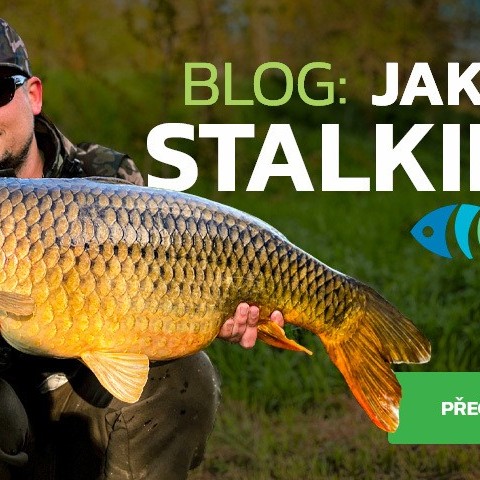 Rychlá kaprařina aneb “stalking”  akce s minimem vybavení Rychlá kaprařina aneb “stalking”  akce s minimem vybavení