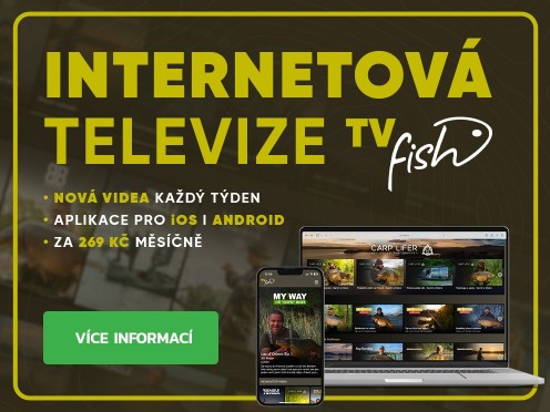 TV Fish