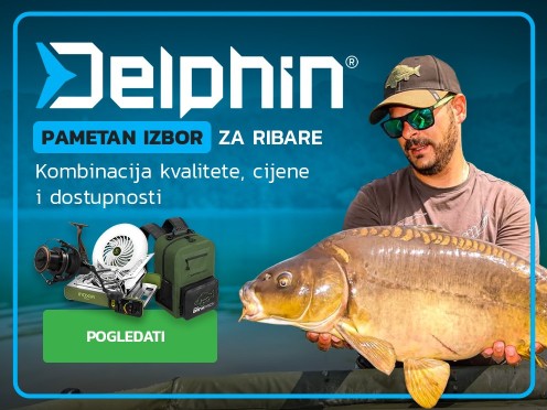 Delphin