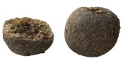 Boilies Mastodont Baits Squid Attack
