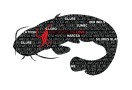 Nálepka Delphin Séria Words Sumec