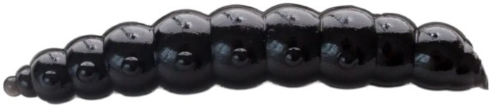 10kom - Gumeni Mamac Moonky Sweet Big 4,6cm 1,42gr Cheese