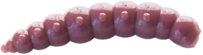 10kom - Gumeni Mamac Moonky Sweet Big 4,6cm 1,42gr Cheese