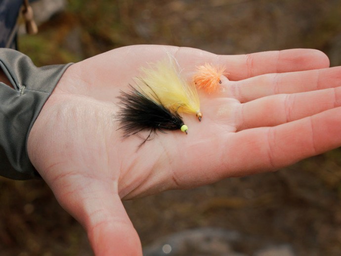 10kom - Set Umjetnih Mušica Delphin Fly Pond Trout