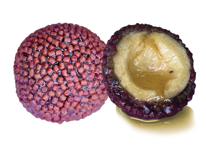 10ks Pelety LK Baits Nutrigo Pellets Chilli Halibut 250ml 24mm