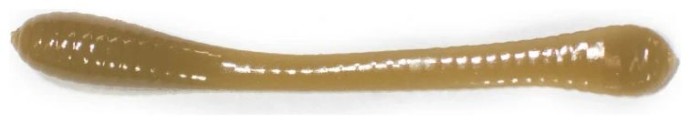 12kom - Gumeni Mamac Revol Baits Longi 60mm Krevetka
