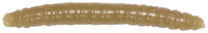 12kom - Umjetni Mamac Revol Baits Crane Fly Larva 45mm Krevetka