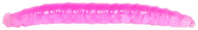 12kom - Umjetni Mamac Revol Baits Crane Fly Larva 45mm Krevetka