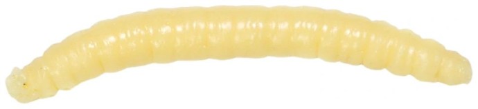 12kom - Umjetni Mamac Revol Baits Crane Fly Larva 45mm Krevetka