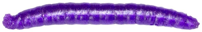 12kom - Umjetni Mamac Revol Baits Crane Fly Larva 45mm Sýr-Česnek