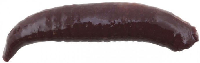 14kom - Crv Berkley Gulp Pinched Crawler 2,5cm