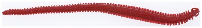 14ks - Gumová Nástraha Berkley Gulp! Alive! Nereis 15cm 59gr