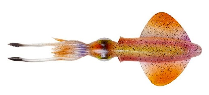 2kom - Gumeni Mamac Savage Gear 3D Swim Squid 18cm 32gr