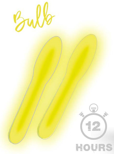 2kom - Kemijsko svjetlo Zfish Light Stick Bulb