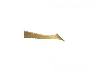 3kom - Gumeni Mamac Drop Shot Iron Claw Kit SH