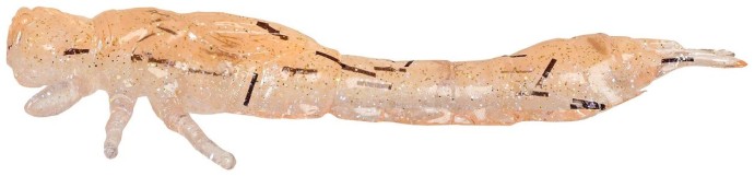 4kom - Gumeni Mamac Westin Odonata Ned Creaturebait 6,5cm 2g