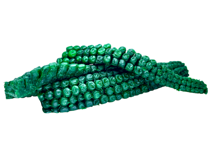 4kom - Kukuruz LK Baits Baby Corn