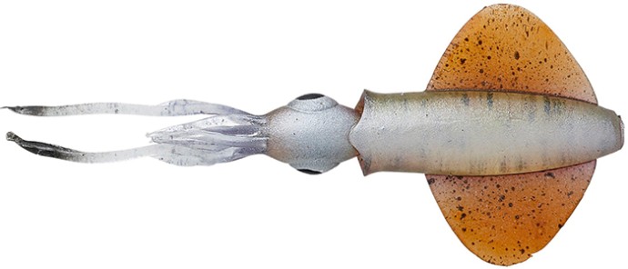 5kom - Mamac Savage Gear Swim Squid LRF 5cm 0,8gr