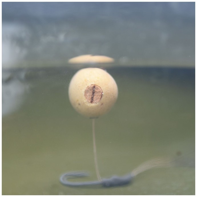 5kom - Pluteni štapići UnderCarp 8mm