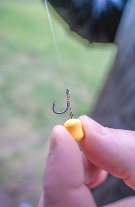 5kom - Udica Korum Bait Spike Hook Hairs Barbed