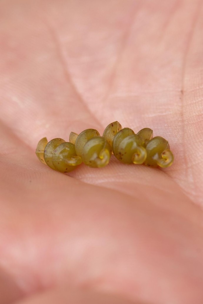 8kom - Svrdlo Korum Smokescreen Meat Screws