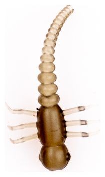Adapter za Udicu UnderCarp Červ smeđa