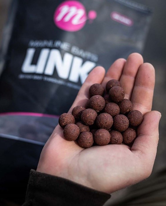 Boilies Mainline Shelf Life The Link 20mm 1kg