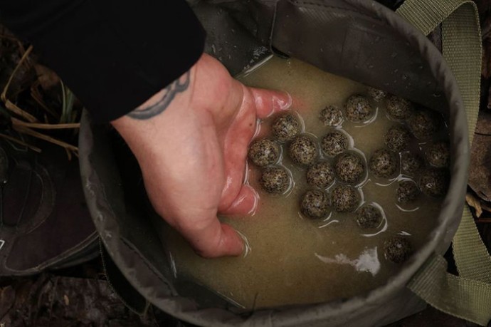 Boilies Nikl Economic Feed Rape Cloud 5kg