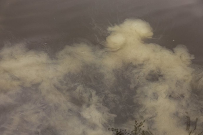 Boilies Nikl Economic Feed Rape Cloud 5kg