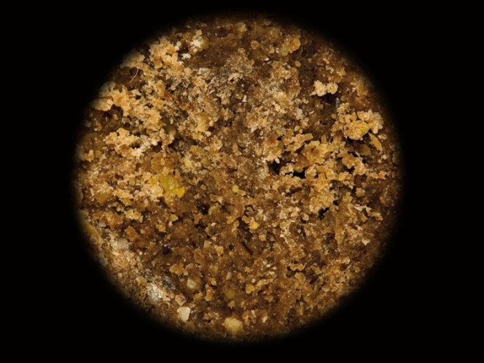 Boilies Sportcarp Liver Protein Squid