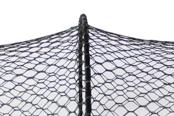 Čuvarica Delphin Base