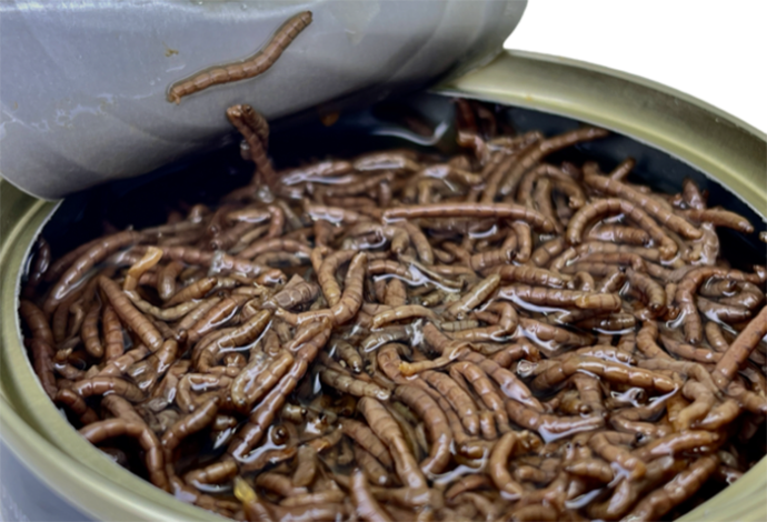 Dodatak za hranu LK Baits Natur Canned 100gr