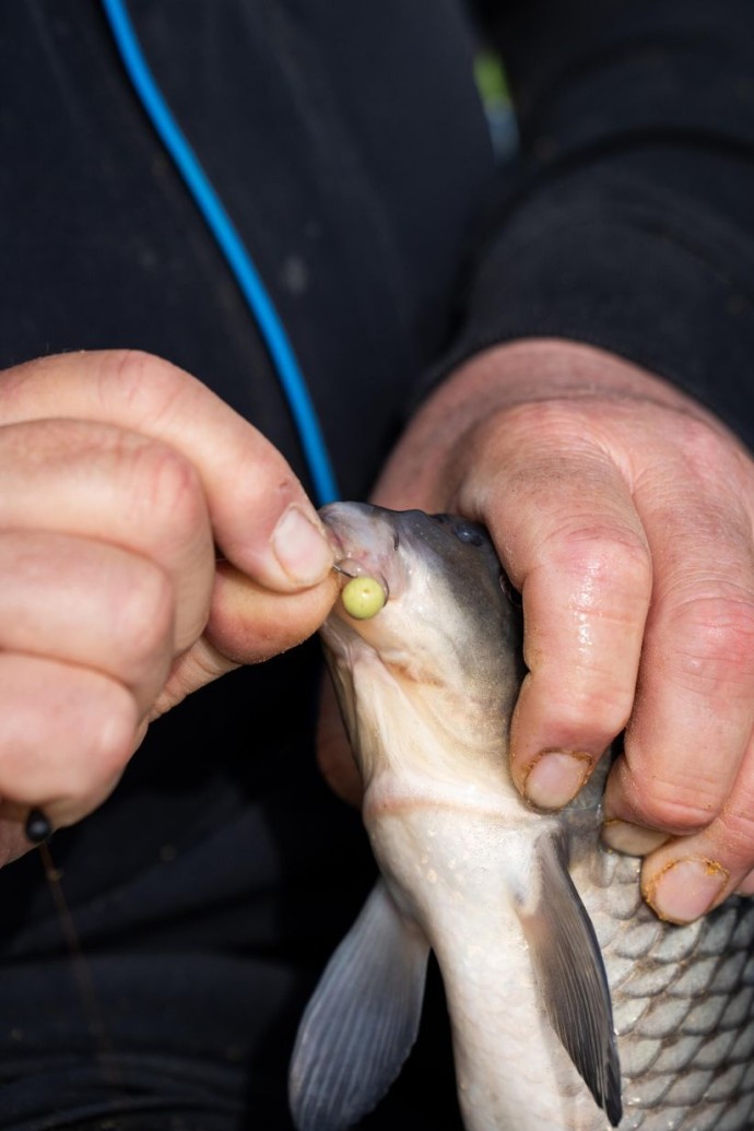 Dumbelli Sonubaits Spike'um Wafter