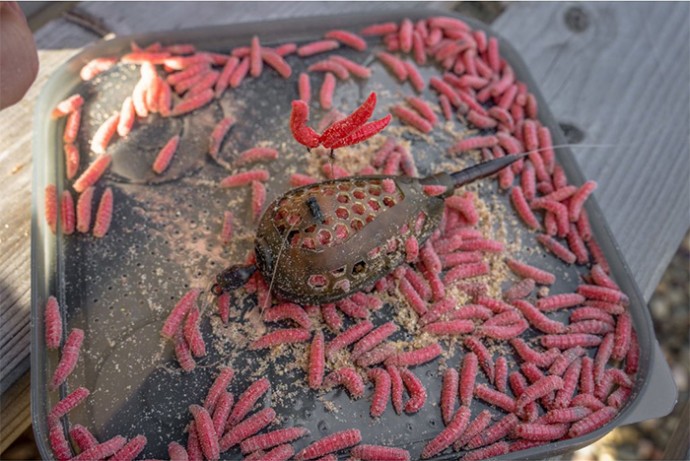 Feeder hranilica Korum Camo Grub Feeder