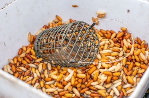 Feeder hranilica Preston Wire Bait Up Feeders
