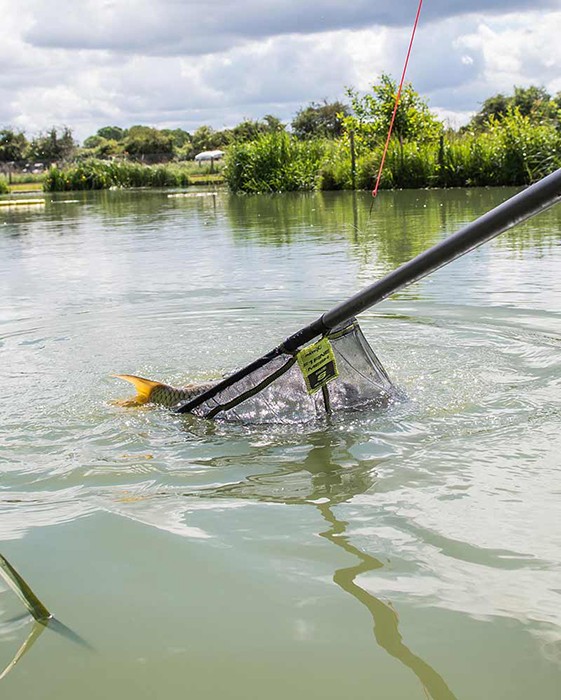Glava podmetača Matrix Fine Mesh Landing Net