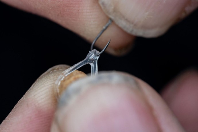 Gumene Opruge Preston Hookable Bait Bands
