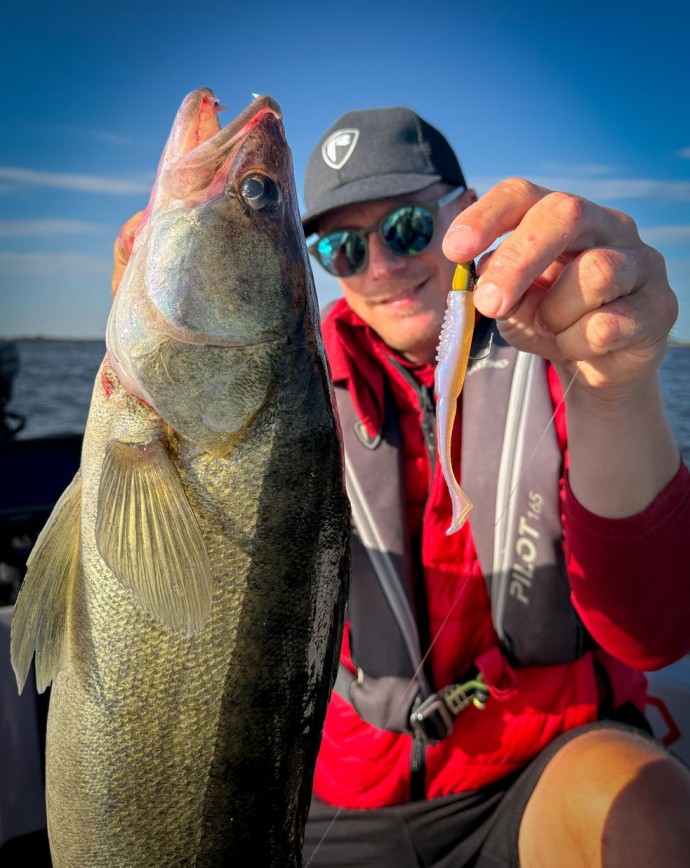 Gumeni Mamac Rage Scent Shad