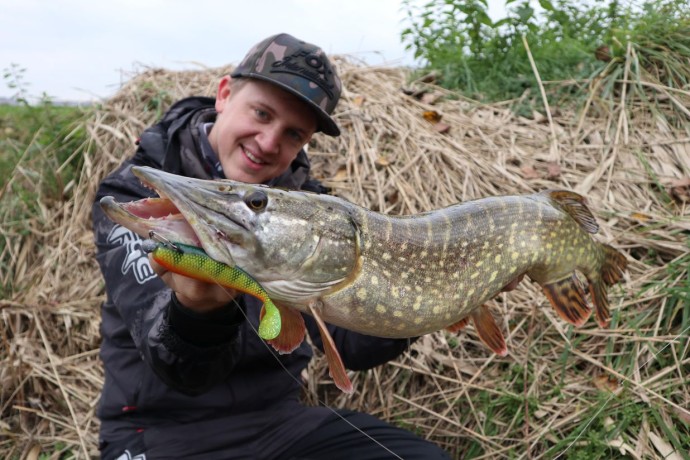 Gumeni Mamac Rage Zander Pro Shad Loaded
