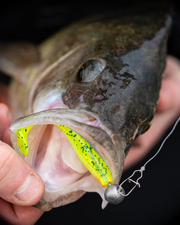 Gumeni Mamac Rage Zander Pro Shad UV Lemon Tiger
