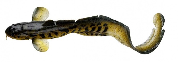 Gumeni Mamac Savage Gear 3D Burbot 25cm 75gr