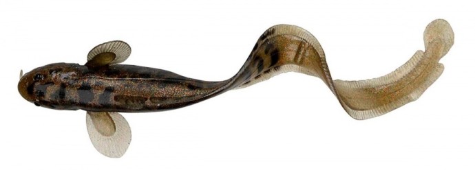 Gumeni Mamac Savage Gear 3D Burbot 25cm 75gr